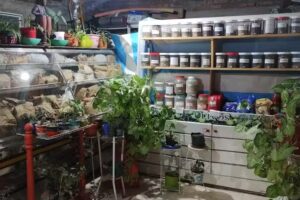 Fiambreria y Dietetica LA GRULLA