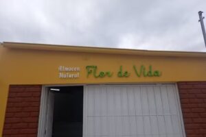 Flor de vida