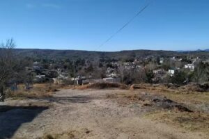 Flor Serrana Aromáticos Naturales