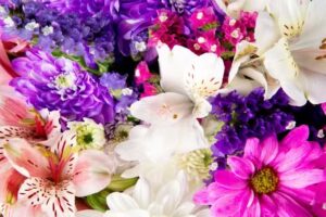 Florer&iacute;a Arte &ndash; M&aacute;s Naturaleza