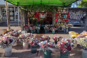 FLORES NATURALES FISHERTON