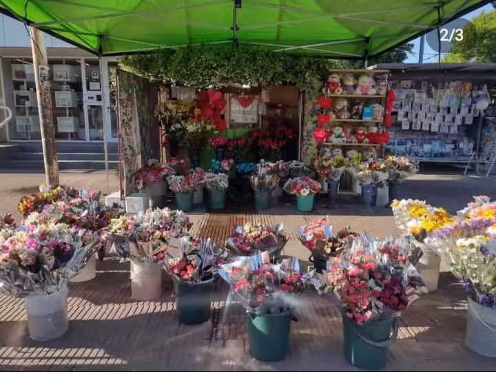 FLORES NATURALES FISHERTON