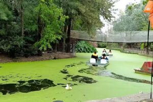 Fundaci&oacute;n Naturaleza Viva