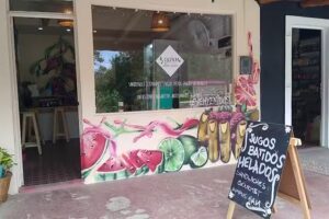 Gaia Alimentos Saludables