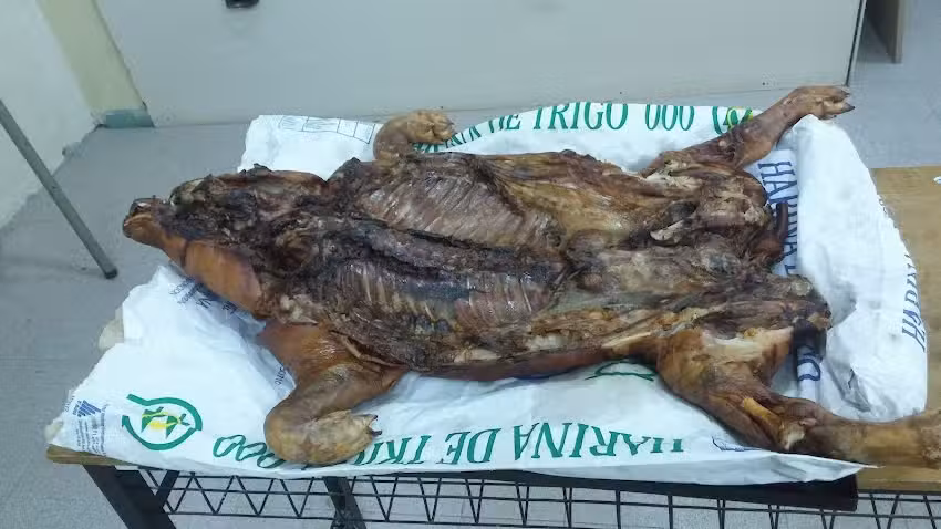 Herborister&iacute;a Norma