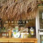 Hibiscus Naturista