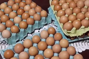 Huevos de Campo – Almacen Natural de Valentina