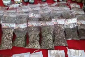 IBA (Integraci&oacute;n Biomagn&eacute;tica Argentina)