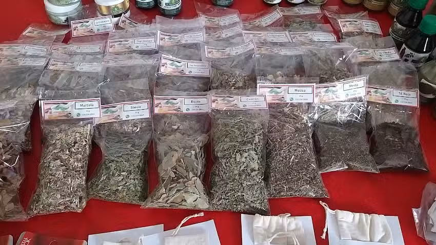 IBA (Integraci&oacute;n Biomagn&eacute;tica Argentina)