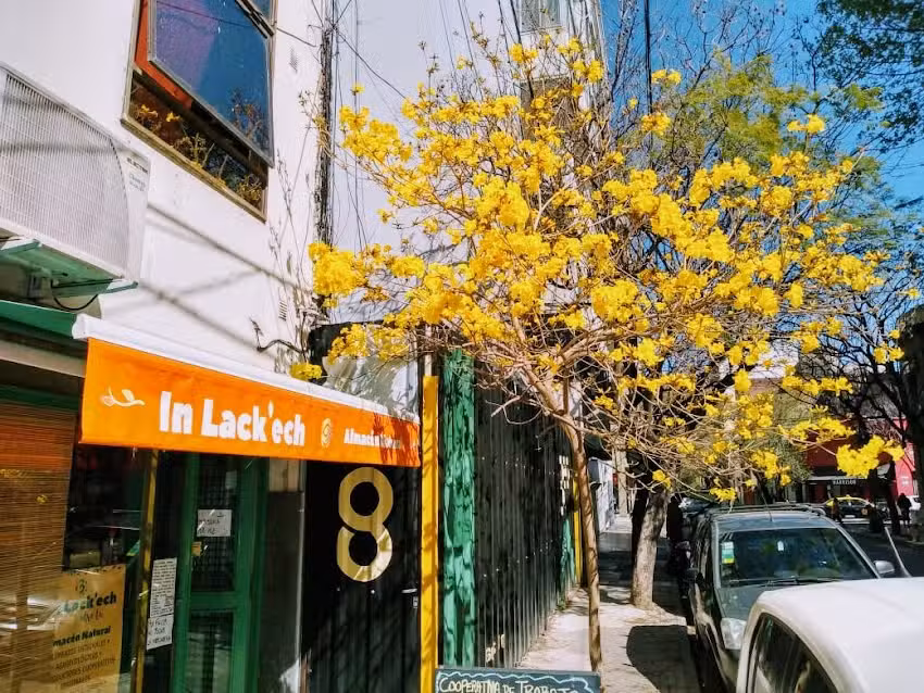 In Lack Ech (Almac&eacute;n Natural)