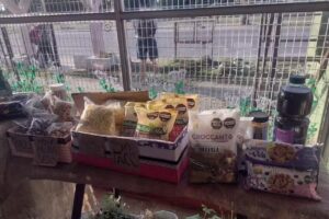 JAZAK VEEMATZ DIETETICA