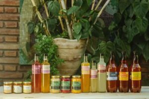 Kaypacha Alimento Vivo