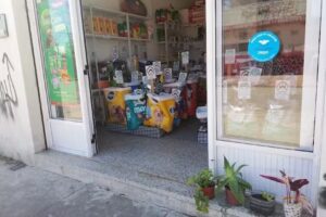 LA CUCHA DE LAS MASCOTAS