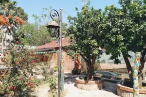 La Lengua Subtor&aacute;cica (diet&eacute;tica y librer&iacute;a)