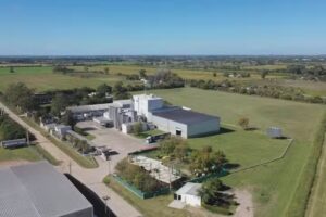 L&aacute;cteos Franz