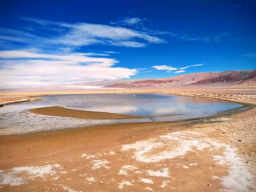 Laguna Carachi Pampa