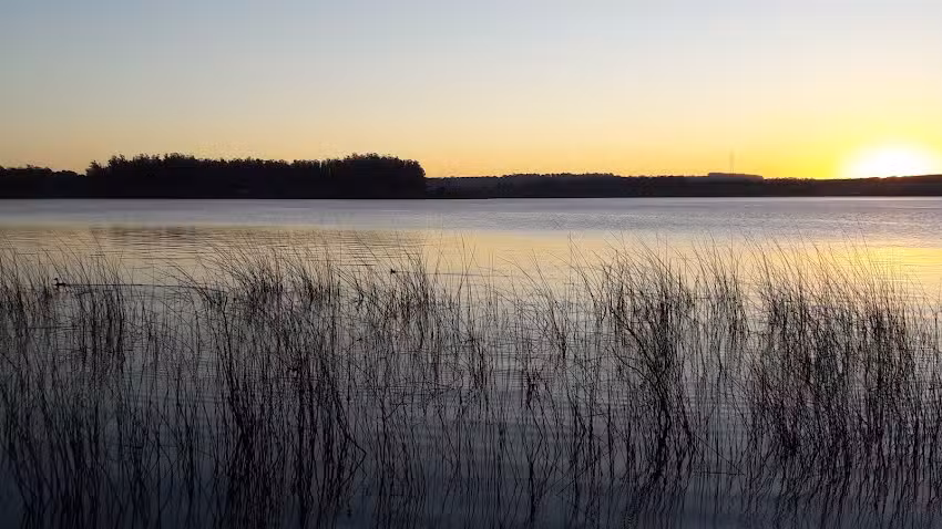 Laguna de los Padres