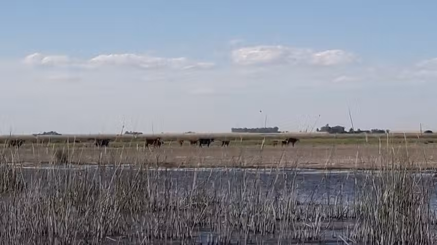 Laguna del Sauce Grande