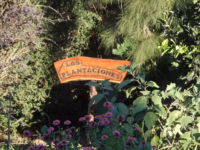 Las Plantaciones