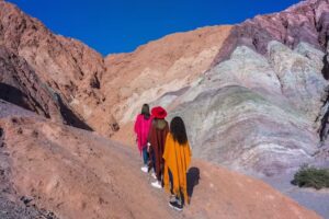 LLAMA NEGRA tejidos naturales del norte Argentino