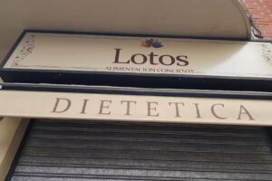 lotos alimentacion consciente