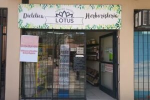Lotus – Almacen Natural