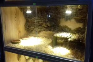 MAC CAN FOOD PET SHOP