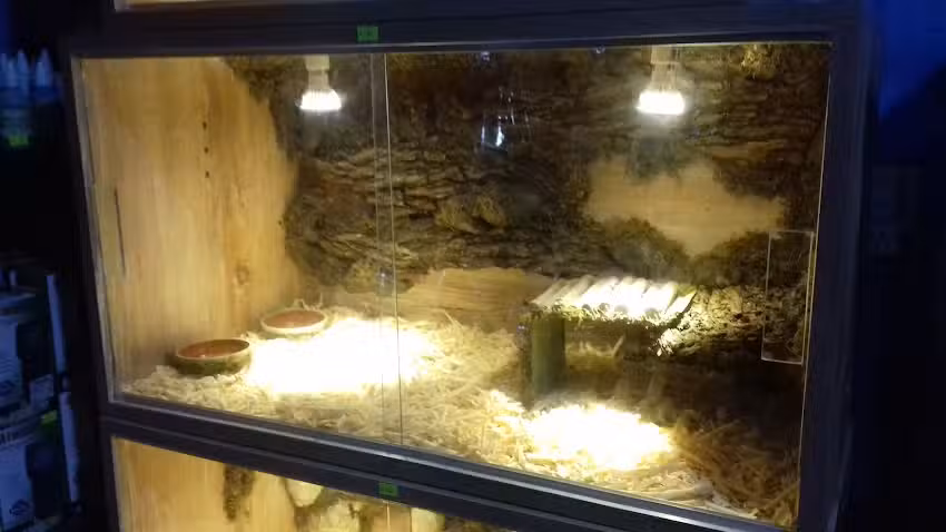 MAC CAN FOOD PET SHOP