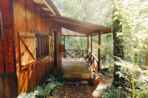 Margay – Reserva Natural & Lodge de Selva