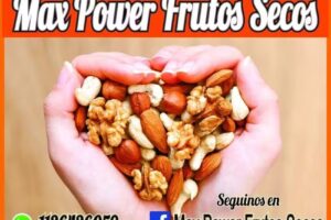 Max power frutos secos