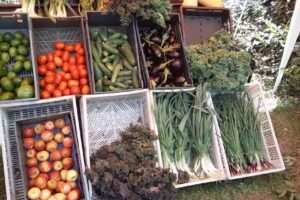 Mercado de Productores Maschwitz