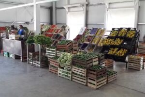 Mercado Municipal de Abasto