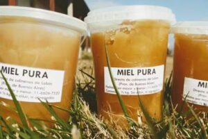 Miel Pura 100% Natural