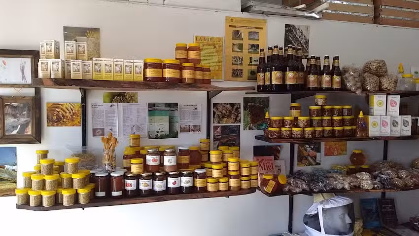 Mundo Abeja Apicultura