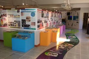 Museo de Ciencias Naturales Vicente Di Martino