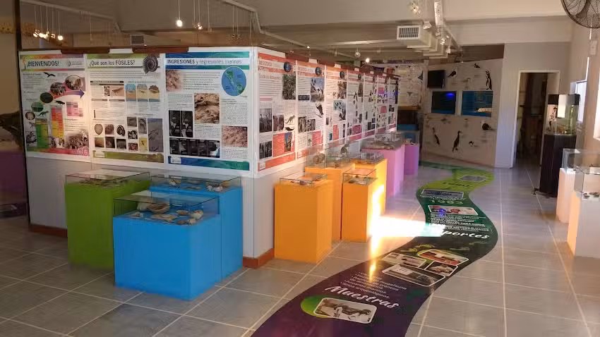 Museo de Ciencias Naturales Vicente Di Martino