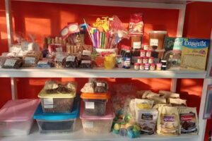 Nativa &middot; 24 HORAS