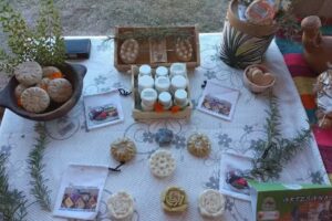 NATIVA Cosmetica Natural