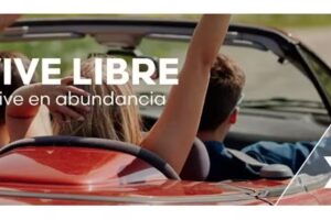 NILDA BOURNISSEN EMPRESARIA BEBIDA FUXION