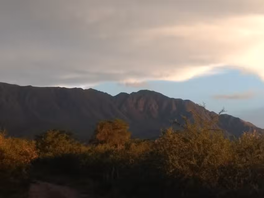 Nomadas, Almacen Natural