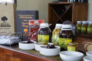 Oliv&iacute;cola Simone