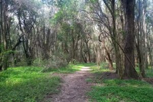 Parque Escolar Rural Enrique Berduc