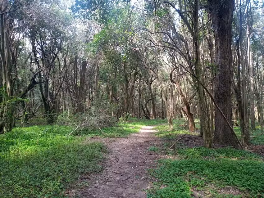 Parque Escolar Rural Enrique Berduc
