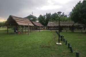 Parque Los Troncos _ Reserva Natural Tiu Mayú