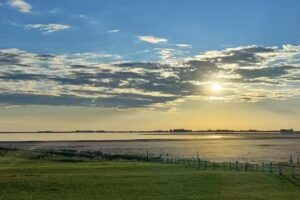 Parque Natural Laguna de Gómez.