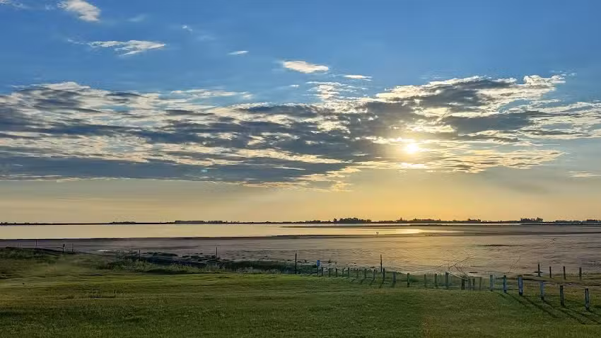 Parque Natural Laguna de G&oacute;mez.