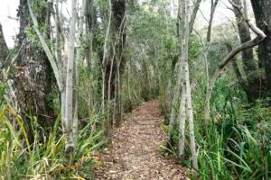 Parque Natural Municipal Ribera Norte