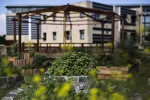 Paseo Ambiental del Sur