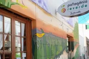 Patagonia ReVerde &ndash; Viedma