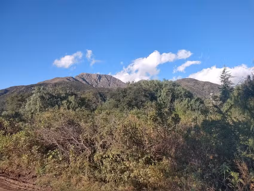 Paz y Flora Bistro Natural